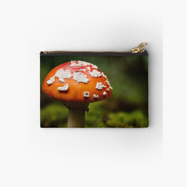 Item preview, Fly agaric designed and sold by millivedder.