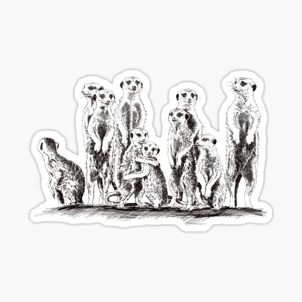 meerkat Sticker