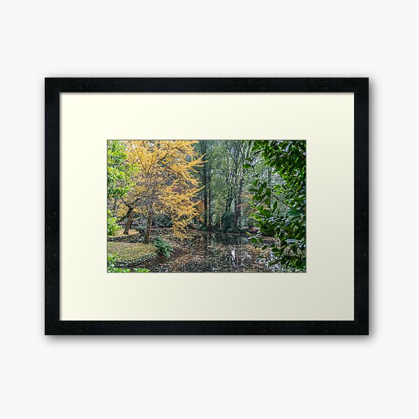 Item preview, Alfred Nicholas Memorial Gardens - Autumn colours designed and sold by House of Golden.