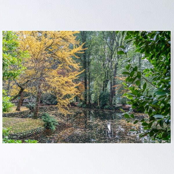 Item preview, Alfred Nicholas Memorial Gardens - Autumn colours designed and sold by House of Golden.