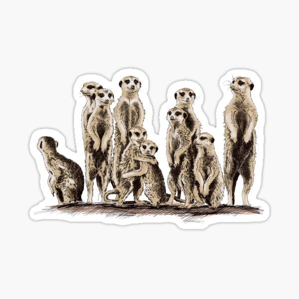 Item preview, meerkat designed and sold by sibosssr.
