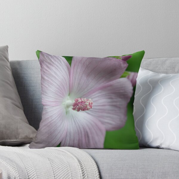 Item preview, Hollyhock Mallow designed and sold by Martha Medford.