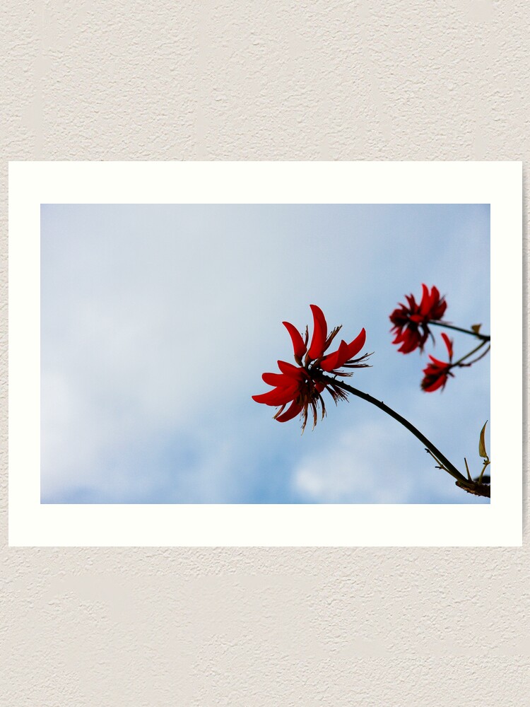 Alternate view of Red like fire Art Print