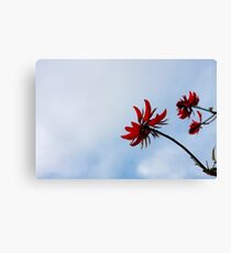 Red like fire Canvas Print