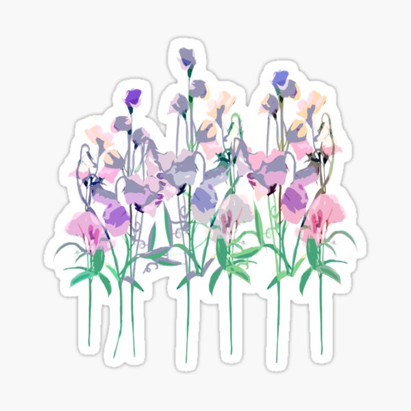Sweet-pea Sticker