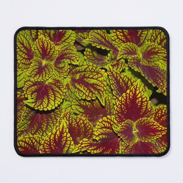 Item preview, Vivid Leaves designed and sold by Boujiee-Boutique.