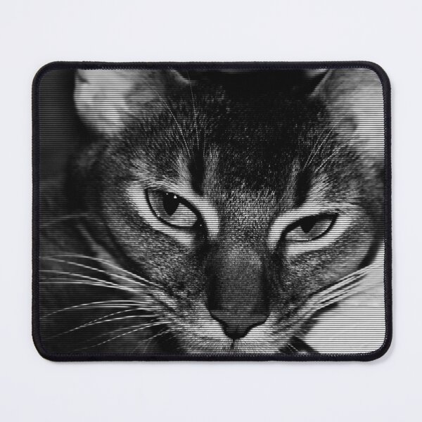 Item preview, Cat designed and sold by Kacharava.