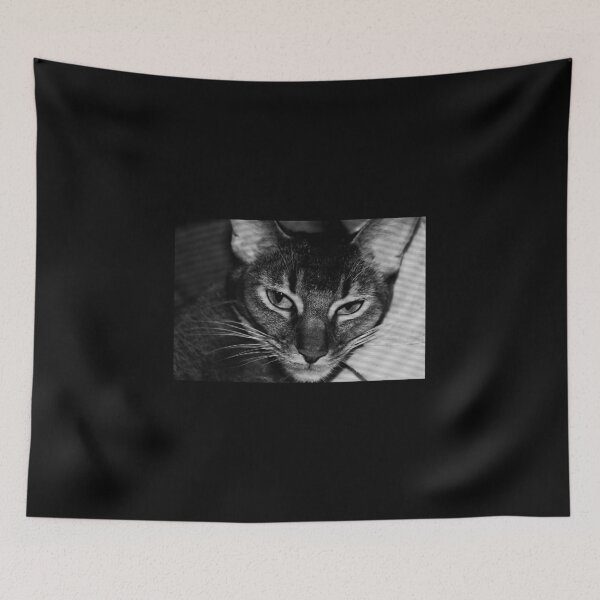 Item preview, Cat designed and sold by Kacharava.