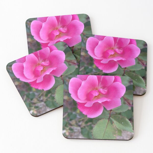 Item preview, Rosa rosa rosa designed and sold by Notcamerashy.