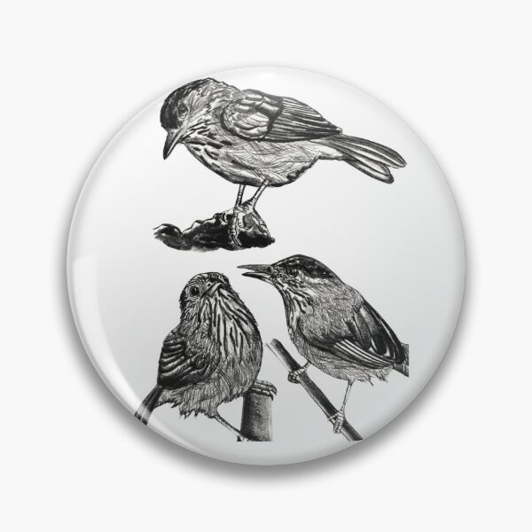 Item preview, Striped Tit-Babbler designed and sold by di-Vera-Rosati.