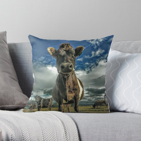 Jersey Cow Portrait Photograph by Michelle Wrighton - Fine Art America