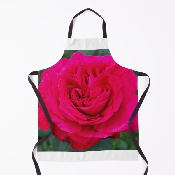 Item preview, Brilliant Pink Rose in South Korea | Aesthetic Floral Art designed and sold by YemmyZImages.