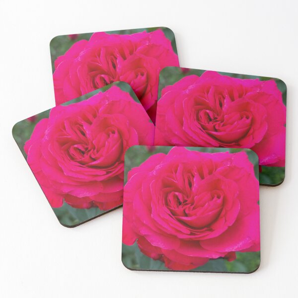 Item preview, Brilliant Pink Rose in South Korea | Aesthetic Floral Art designed and sold by YemmyZImages.
