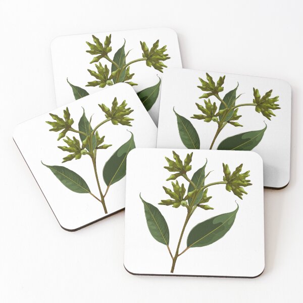 Item preview, Isolated realistic eucalyptus leaves. Branch in bloom. designed and sold by MatyKotiv.