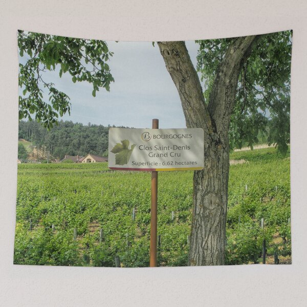 Item preview, Famous grand cru vineyard in Burgundy designed and sold by Photopat.