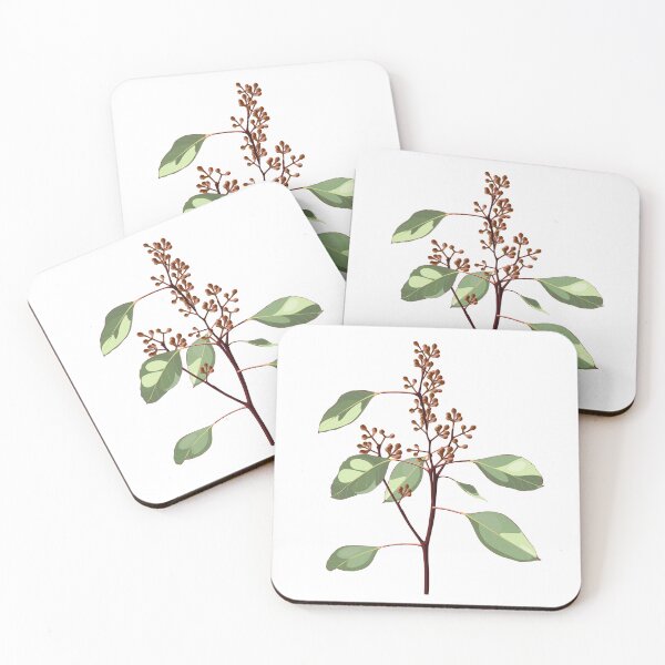 Item preview, Isolated realistic eucalyptus leaves. Branch in bloom. designed and sold by MatyKotiv.
