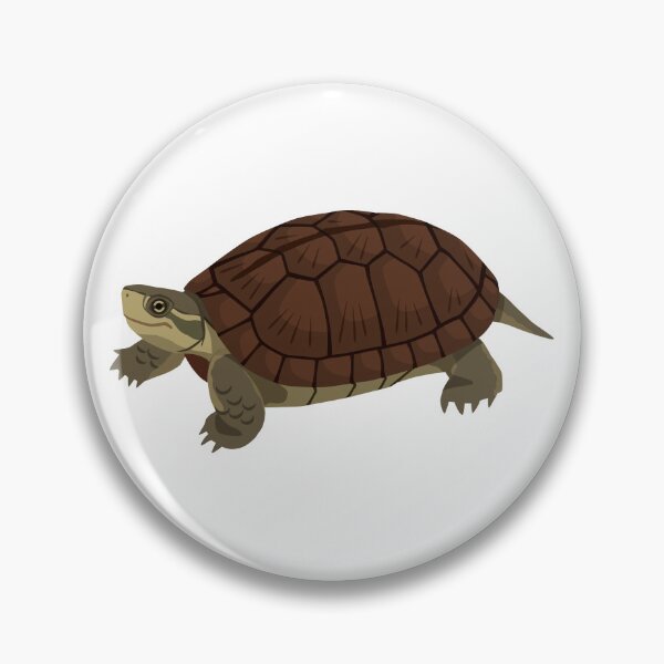 Item preview, Yaeyama Yellow Pond Turtle designed and sold by Rie-TortoTurtle.