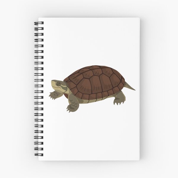 Item preview, Yaeyama Yellow Pond Turtle designed and sold by Rie-TortoTurtle.