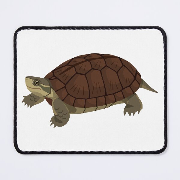 Item preview, Yaeyama Yellow Pond Turtle designed and sold by Rie-TortoTurtle.