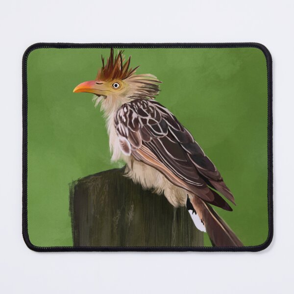 Item preview, Guira Cuckoo designed and sold by Slightlyunderrated Art.