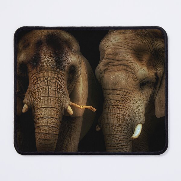 Item preview, Sisters designed and sold by Tims-wildlife.