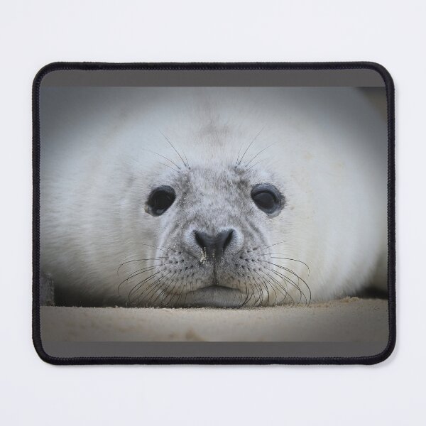 Item preview, Resting Seal Face designed and sold by ClaireChown.