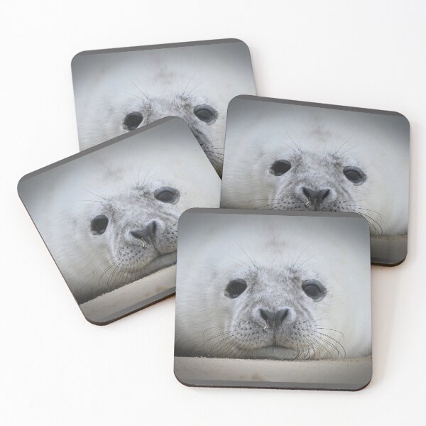 Item preview, Resting Seal Face designed and sold by ClaireChown.