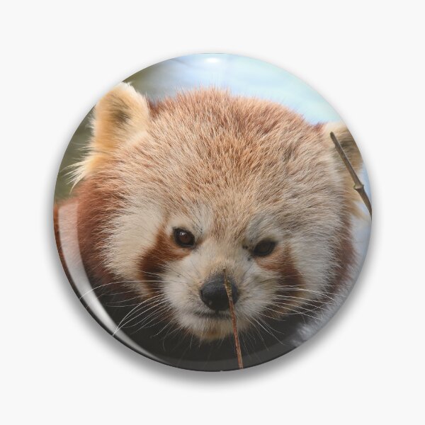Item preview, Red Panda Portrait designed and sold by ClaireChown.