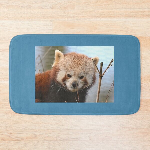 Item preview, Red Panda Portrait designed and sold by ClaireChown.