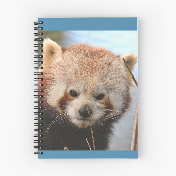 Item preview, Red Panda Portrait designed and sold by ClaireChown.
