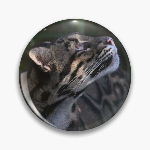 Item preview, Clouded Leopard designed and sold by ClaireChown.