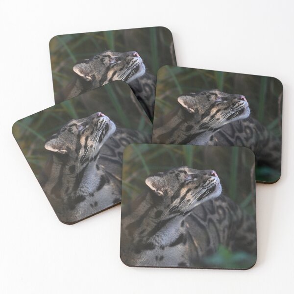 Item preview, Clouded Leopard designed and sold by ClaireChown.