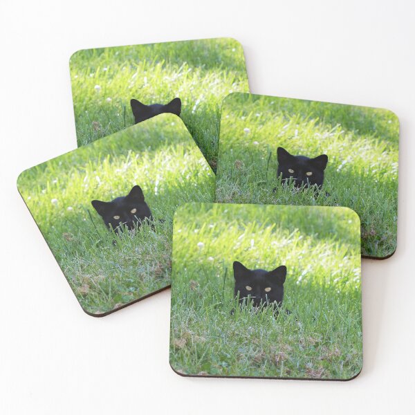 Item preview, Panther in the Grass designed and sold by Frankie Cat Photography.