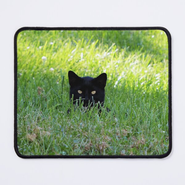 Item preview, Panther in the Grass designed and sold by Frankie Cat Photography.