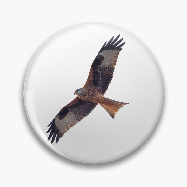 Item preview, Red Kite in flight designed and sold by inspireyoureyes.