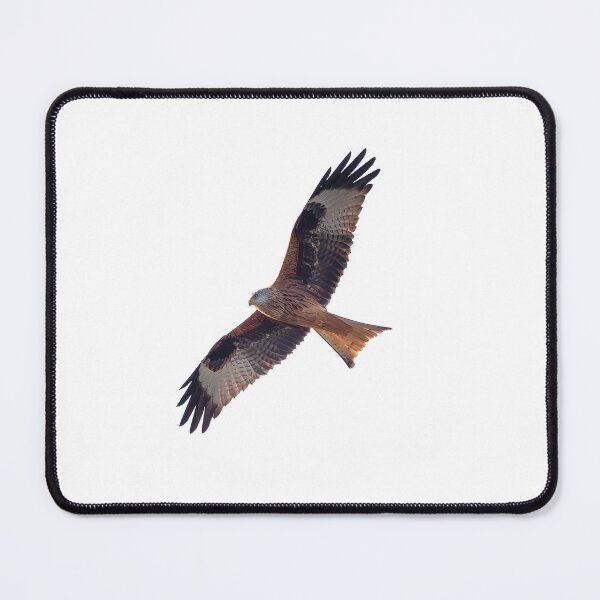 Item preview, Red Kite in flight designed and sold by inspireyoureyes.