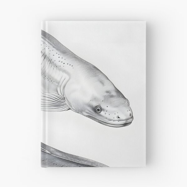 Item preview, Realistic electric eel pencil drawing designed and sold by Pencil-Art.