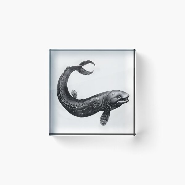 Item preview, Realistic electric eel pencil drawing designed and sold by Pencil-Art.