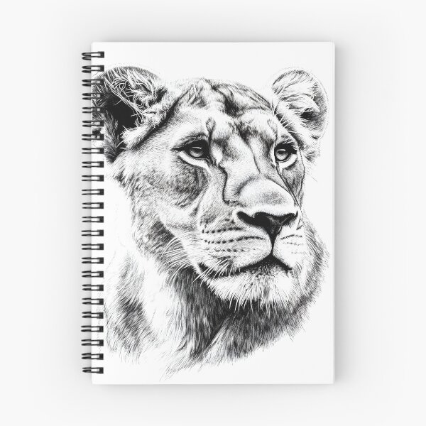 Item preview, Realistic lioness pencil drawing designed and sold by Pencil-Art.