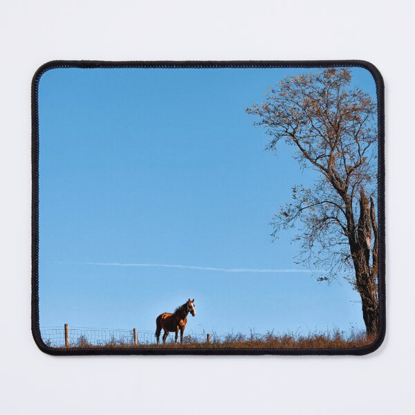 Item preview, His Peaceful Place designed and sold by Jim Love.