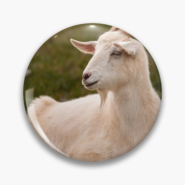 Item preview, Barnyard Contemplation designed and sold by Jim Love.