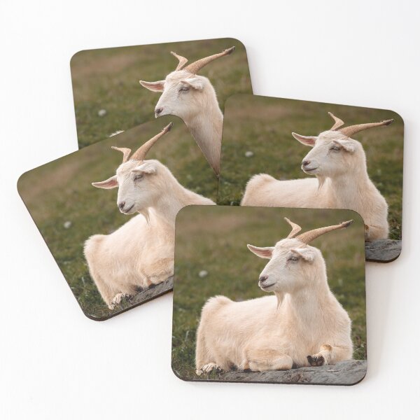 Item preview, Barnyard Contemplation designed and sold by Jim Love.