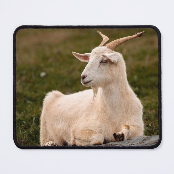 Item preview, Barnyard Contemplation designed and sold by Jim Love.