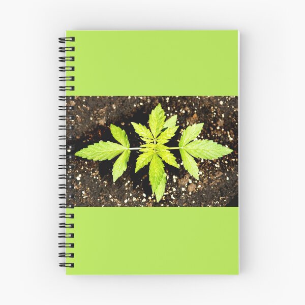 Item preview, Cannabis or cannabis plant designed and sold by manoloshoping.