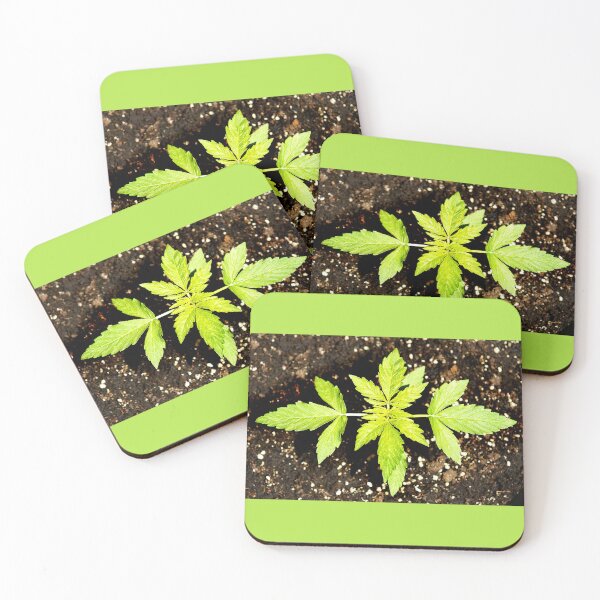 Item preview, Cannabis or cannabis plant designed and sold by manoloshoping.