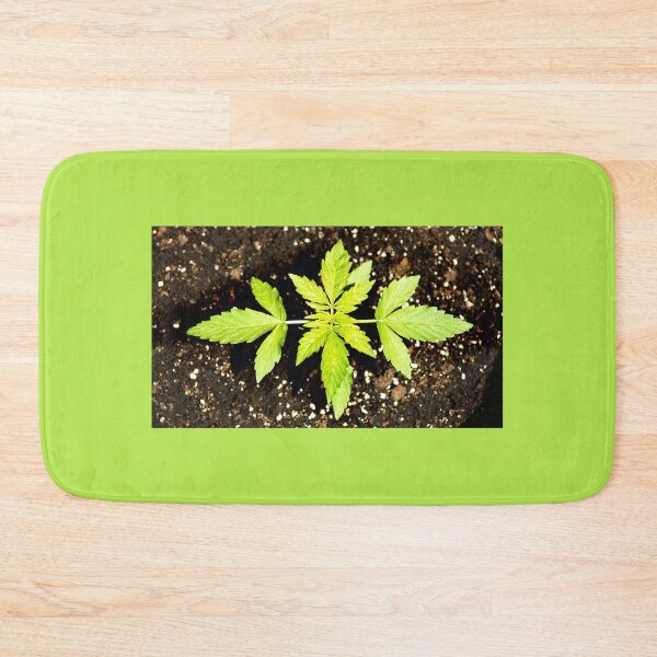 Item preview, Cannabis or cannabis plant designed and sold by manoloshoping.