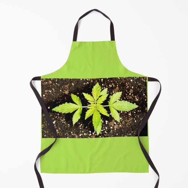 Item preview, Cannabis or cannabis plant designed and sold by manoloshoping.
