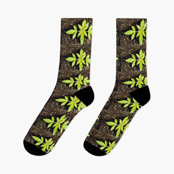 Item preview, Cannabis or cannabis plant designed and sold by manoloshoping.