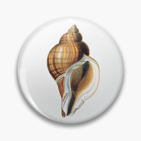 Item preview, Vintage Seashell Illustration  designed and sold by HawthorneFlame.