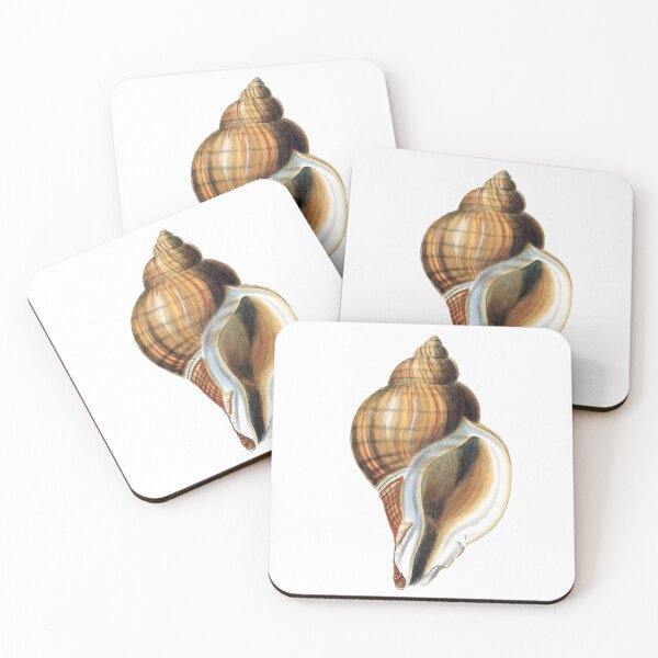 Item preview, Vintage Seashell Illustration  designed and sold by HawthorneFlame.